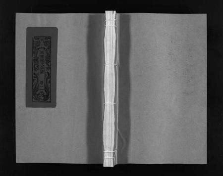 浙江杨氏族谱-西塘杨氏宗谱 [4卷].pdf电子版预览图1