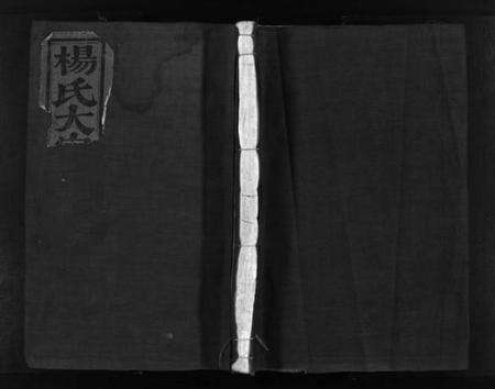 浙江杨氏族谱-西塘杨氏宗谱 [残卷].pdf电子版缩略图