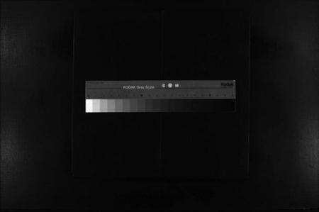 浙江李氏族谱-西朱李氏宗谱 [不分卷].pdf电子版缩略图