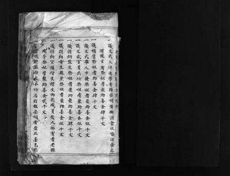 浙江李氏族谱-西朱李氏宗谱 [不分卷].pdf电子版预览图2