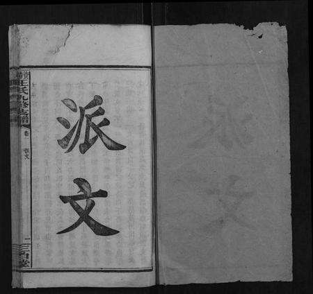 湖南王氏族谱-资阳王氏九修支谱.pdf电子版预览图1
