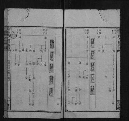 湖南王氏族谱-资阳王氏九修支谱.pdf电子版预览图5