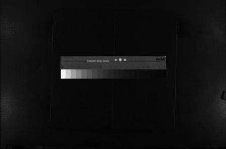 浙江林氏族谱-西河郡巉川林氏宗谱 [8卷].pdf电子版缩略图