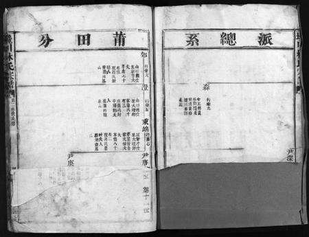 浙江林氏族谱-西河郡巉川林氏宗谱 [9卷].pdf电子版预览图2