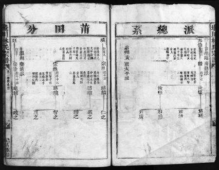 浙江林氏族谱-西河郡巉川林氏宗谱 [9卷].pdf电子版预览图5