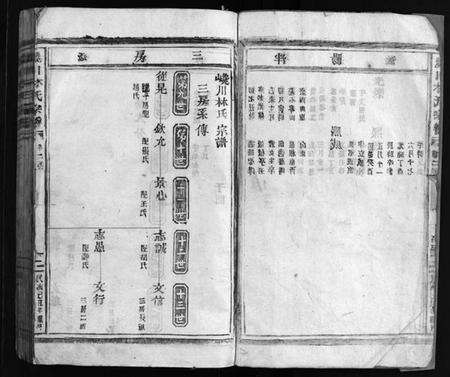 浙江林氏族谱-西河郡巉川林氏宗谱 [残卷].pdf电子版预览图2