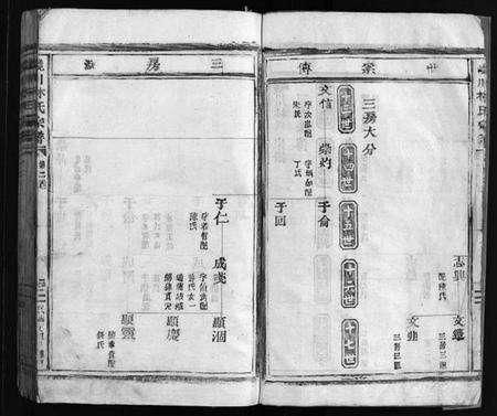 浙江林氏族谱-西河郡巉川林氏宗谱 [残卷].pdf电子版预览图3