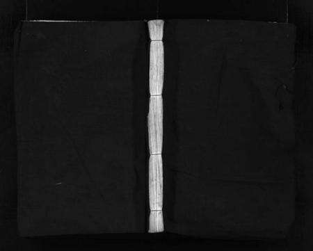 浙江李氏族谱-西洙李氏宗谱 [不分卷].pdf电子版预览图1