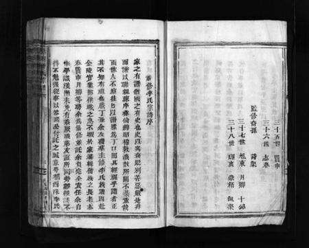 浙江李氏族谱-西洙李氏宗谱 [不分卷].pdf电子版预览图4