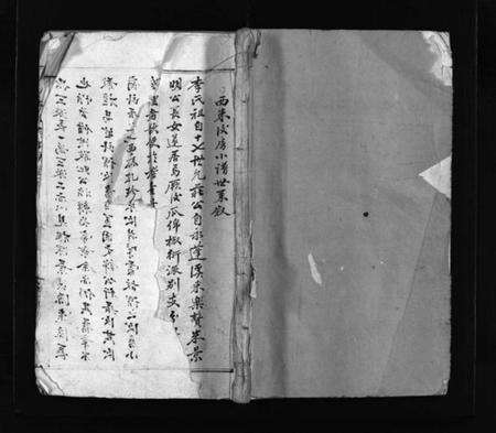 浙江李氏族谱-西洙李氏房谱 [不分卷].pdf电子版预览图1