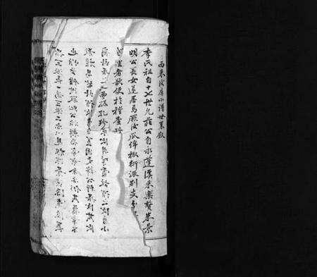 浙江李氏族谱-西洙李氏房谱 [不分卷].pdf电子版预览图2