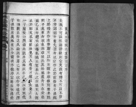 浙江陈氏族谱-西章陈氏宗谱 [4卷].pdf电子版预览图2