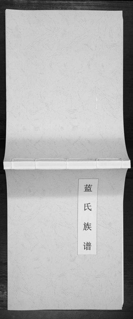 江苏蓝氏族谱-蓝氏族谱[不分卷].pdf电子版缩略图