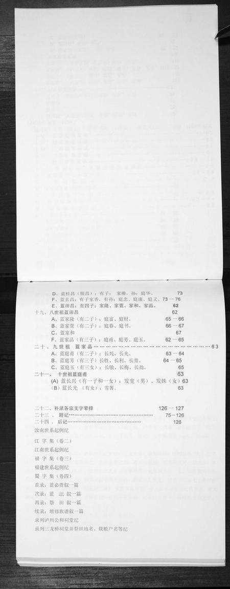 江苏蓝氏族谱-蓝氏族谱[不分卷].pdf电子版预览图3