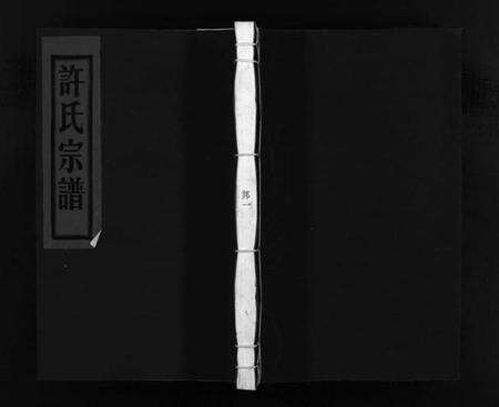 浙江许氏族谱-许氏宗谱 [不分卷].pdf电子版预览图1