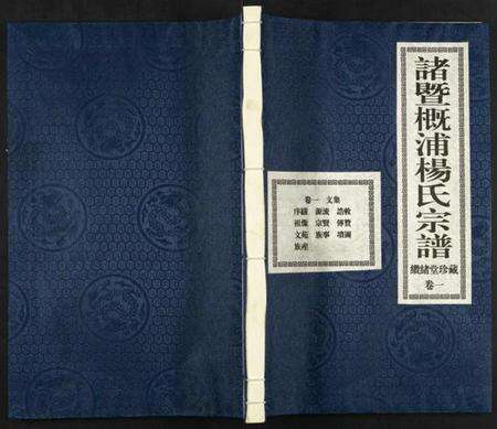 浙江杨氏族谱-诸暨概浦杨氏宗谱.pdf电子版缩略图