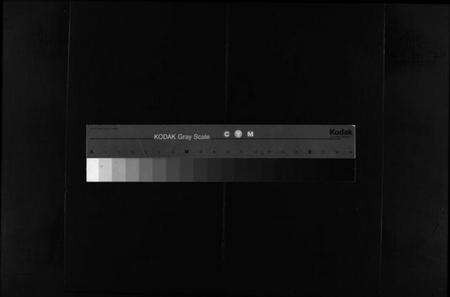 浙江谢氏族谱-谢氏宗谱 [不分卷].pdf电子版缩略图