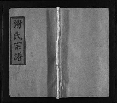 浙江谢氏族谱-谢氏宗谱 [不分卷].pdf电子版预览图1