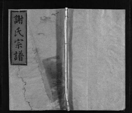 浙江谢氏族谱-谢氏宗谱 [不分卷].pdf电子版预览图1