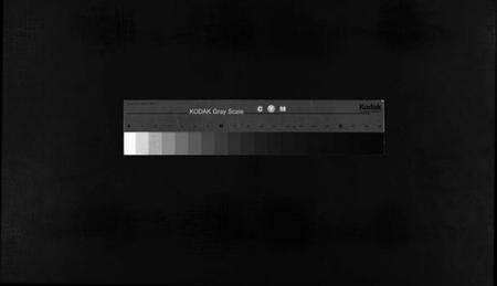 浙江谢氏族谱-谢氏家谱 [不分卷].pdf电子版缩略图