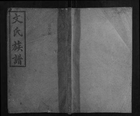 湖南文氏族谱-文氏族谱.pdf电子版缩略图