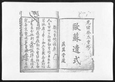 浙江刘氏族谱-护国刘氏宗谱[6卷].pdf电子版预览图1