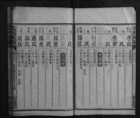 湖南文氏族谱-文氏族谱.pdf电子版预览图3