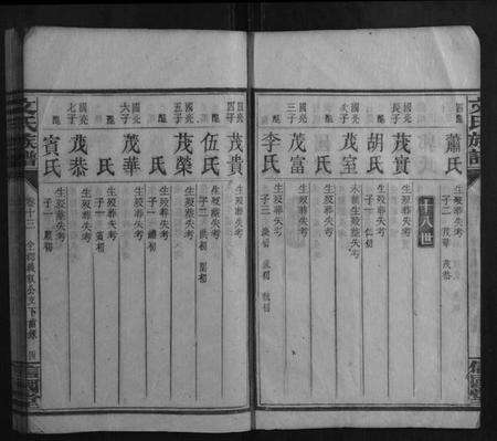 湖南文氏族谱-文氏族谱.pdf电子版预览图4