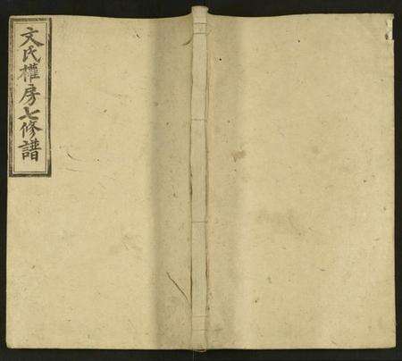 湖南文氏族谱-文氏权房七修谱 [125卷, 首1卷及其它卷].pdf电子版缩略图