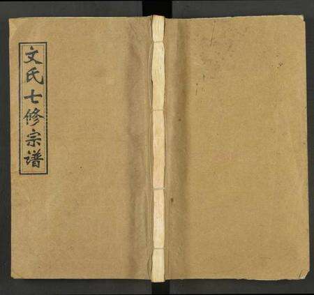 湖南文氏族谱-文氏七修宗谱 [残卷].pdf电子版缩略图