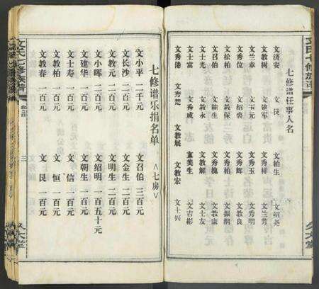 湖南文氏族谱-文氏七修宗谱 [残卷].pdf电子版预览图3