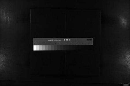 浙江郑氏族谱-象山郑氏五房二潭头宗谱 [不分卷].pdf电子版缩略图