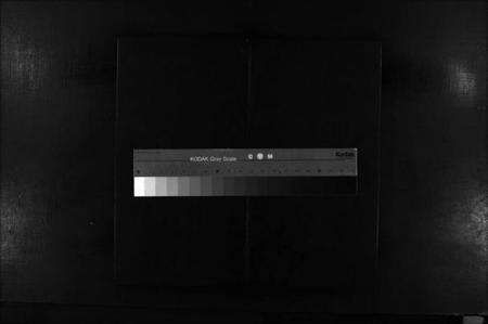 浙江郑氏族谱-象山郑氏大宗总谱 [不分卷].pdf电子版缩略图