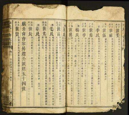 中国李氏族谱-李氏三修族谱.pdf电子版预览图2