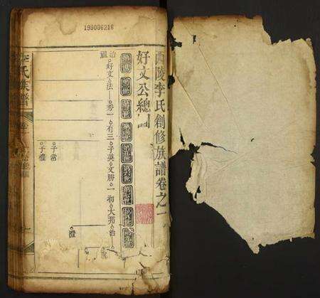 中国李氏族谱-李氏族谱.pdf电子版预览图1