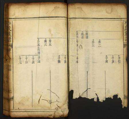 中国李氏族谱-李氏族谱.pdf电子版预览图2