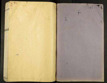 中国李氏族谱-虔南李氏联修族谱.pdf电子版预览图2