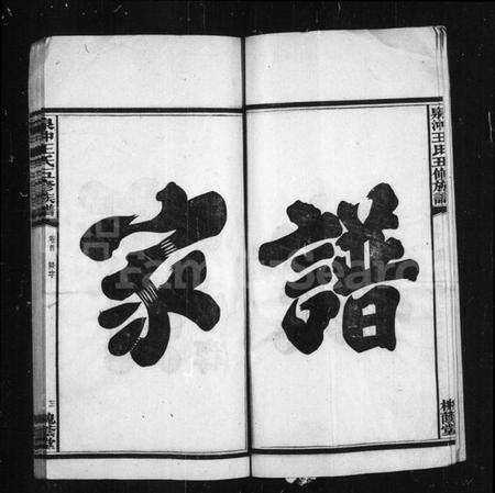 湖南王氏族谱-湘潭泉冲王氏五修族谱.pdf电子版预览图4