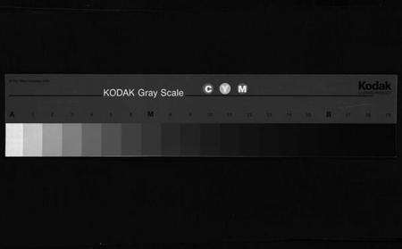 浙江李氏族谱-象瑚李氏宗谱[8卷].pdf电子版缩略图