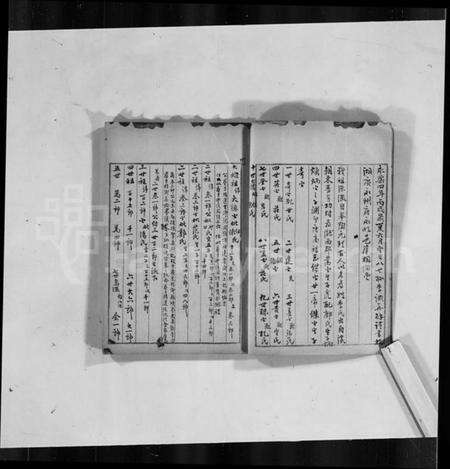 中国李氏族谱-陇西李氏庆源王氏蛟洋傅氏程氏张氏有关谱序.pdf电子版预览图5