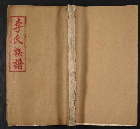 中国李氏族谱-陇西李氏族谱.pdf电子版缩略图