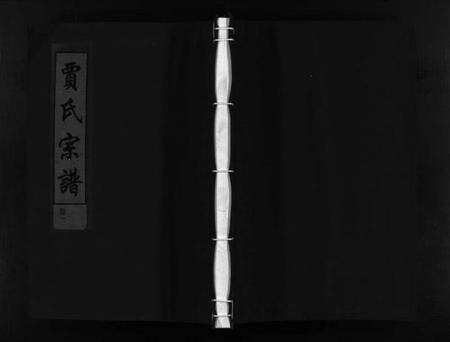 浙江贾氏族谱-贾氏宗谱 [3卷].pdf电子版预览图1