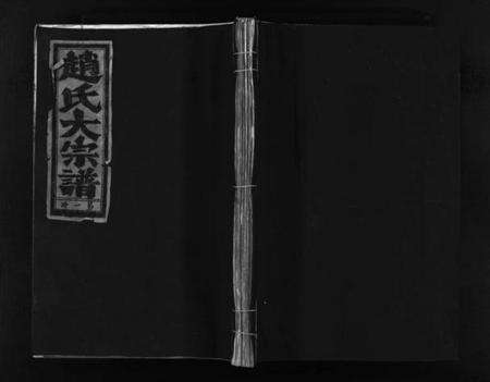 浙江赵氏族谱-赵氏大宗谱 [不分卷].pdf电子版预览图1