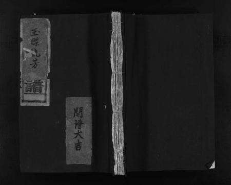 浙江赵氏族谱-赵氏大宗谱 [不分卷].pdf电子版预览图1