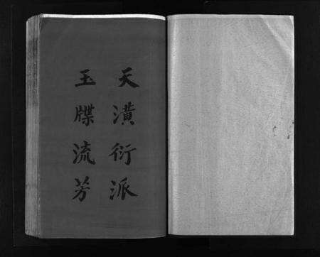 浙江赵氏族谱-赵氏大宗谱 [不分卷].pdf电子版预览图2