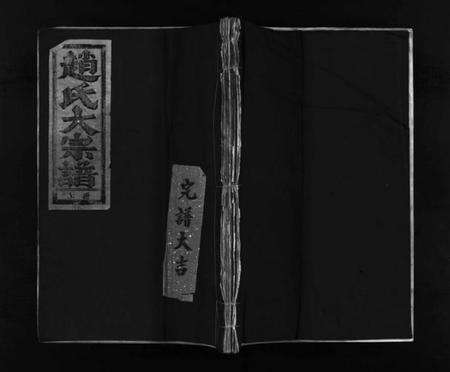 浙江赵氏族谱-赵氏大宗谱 [不分卷].pdf电子版预览图1