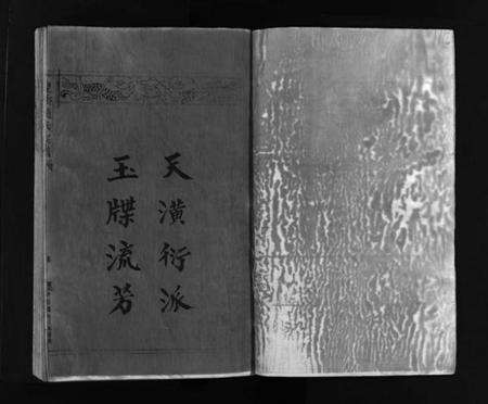 浙江赵氏族谱-赵氏大宗谱 [不分卷].pdf电子版预览图2