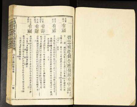 江西廖氏族谱-石城新坊村廖氏八九联修族谱.pdf电子版预览图1