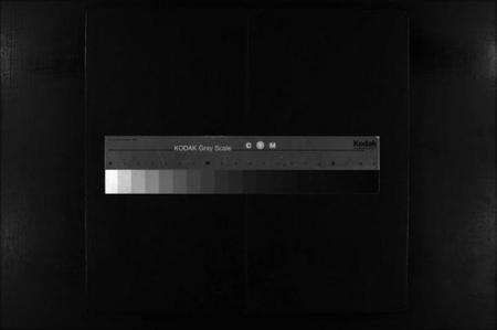 浙江赵氏族谱-赵氏宗谱 [不分卷].pdf电子版缩略图