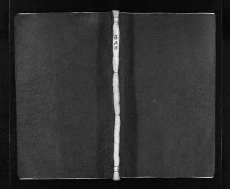 浙江赵氏族谱-赵氏宗谱 [不分卷].pdf电子版预览图1